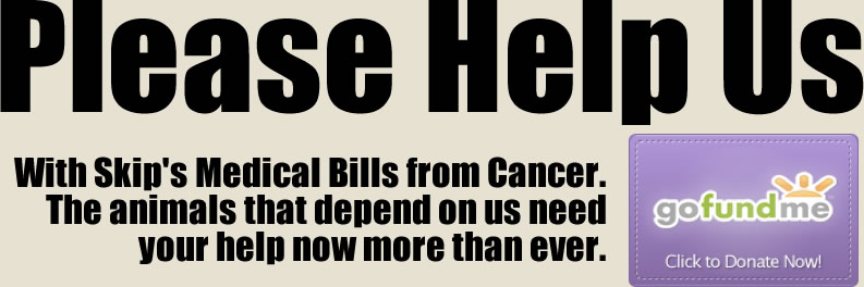 SCCares SC Coastal Animal Rescue &amp; Educational Sanctuary