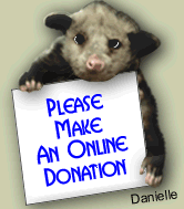 Please Donate